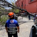 WhatsApp Image 2025-08-22 at 13.59.10 (2)