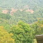 WhatsApp Image 2025-09-26 at 16.44.36